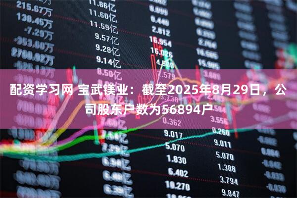配资学习网 宝武镁业：截至2025年8月29日，公司股东户数为56894户