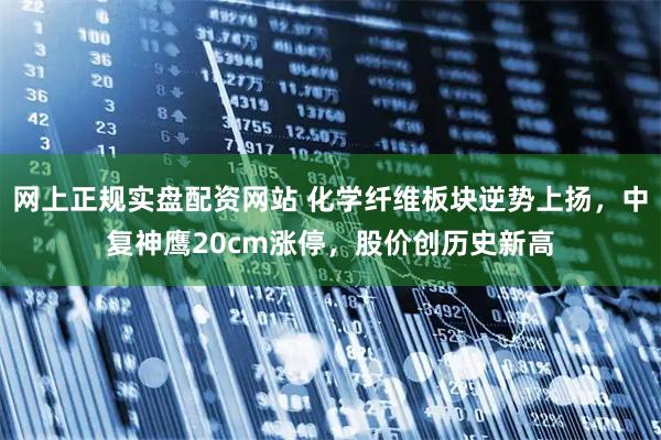 网上正规实盘配资网站 化学纤维板块逆势上扬，中复神鹰20cm涨停，股价创历史新高