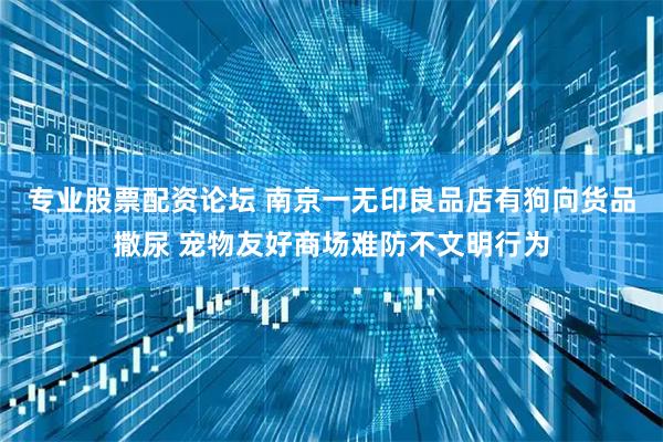 专业股票配资论坛 南京一无印良品店有狗向货品撒尿 宠物友好商场难防不文明行为